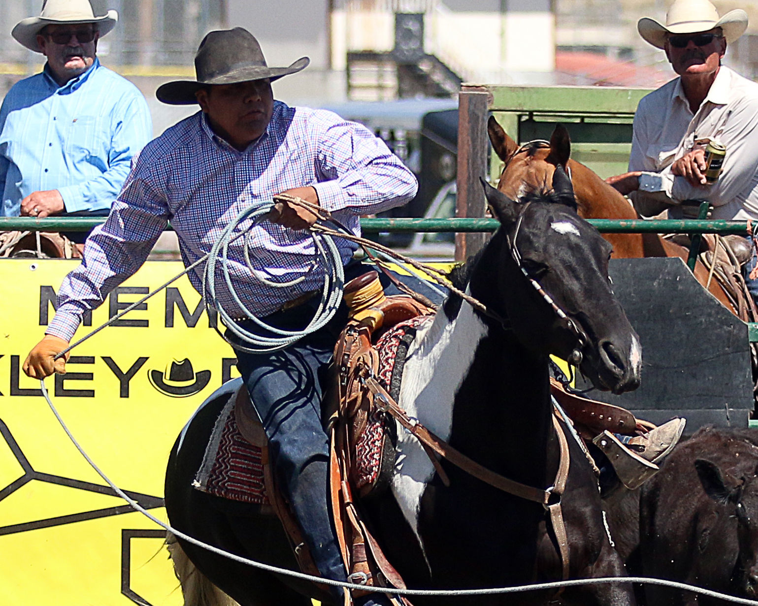 2018 Elko County Fair Open Branding Finals (23).JPG